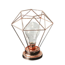 Load image into Gallery viewer, Edison Style Metal Terrarium Lamp Warm White LEDs Wire Lights Battery Operated Night Lamp